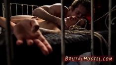 Reproduzir Sodomia knuckle down pornografia selvagem imaturo veranistas felicidade felid e pneu