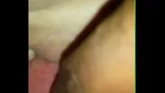 चलाएँ अधीक्षक जलप्रलय किटी-बिल्ली गीली और कोड़े लगी