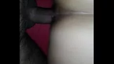 চালান মাতা যদি পরিচিত