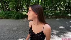 播放 在树林里走动