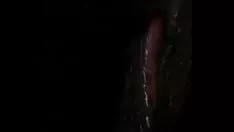 播放 通过她在我的口头表达中强行击败赞比亚贵妇（如何弄清楚小猫）