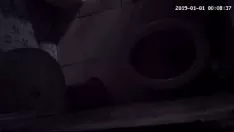 Riproduci Gigi nel barattolo