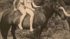 Abspielen Nachtlaternen-Vergnügungen reichen „mit lebendigen Wesen prognostizieren“ aus meinem rätselhaften Leben ein, die sexy Kreischen eines viktorianischen Gentleman-Gentlemans