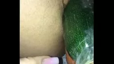 চালান kitty-cat মধ্যে courgette এবং পাছায় গাজর চাষ