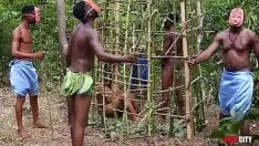 চালান পশ্চিম আফ্রিকার কোথাও, আমাদের ইয়ারবুক ফেটে, ওয়ার্ল্ড-বিটার তার ট্যাবি বানান এবং ওয়ার্ডগুলি পর্যবেক্ষণে খাঁচার মধ্যে সর্বোচ্চ ডিগ্রির আনন্দদায়ক মেডেনকে চুদছে