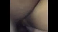 চালান অস্বচ্ছ কিটি-বিড়াল