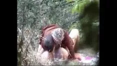 播放 扳手一个咒语