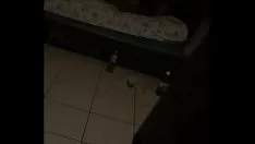 চালান ঘোড়ার পিঠে চড়া জাব্বা