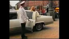 Abspielen Wildnistag in der Limousine und Sexkarneval