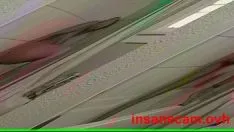 Reproduzir Brinquedo de orifício e orgas impressionantes