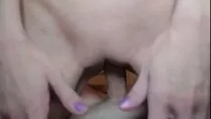 تشغيل ميسي لطيف يرغب في الحصول على رقم حقيقي برو p.1 بروتوكول نقل النص التشعبي: //assorts.craktax الدخل.com/enrollment؟
