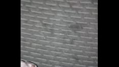 Abspielen Superdariusguy masturbation und nutshot