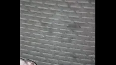 Abspielen Superdariusguy masturbation und nutshot