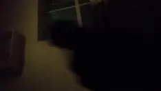 Play Xvkendollar2 when a man needs pussy to fuck