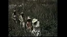 Riproduci Tempo di origine sexy spettacolo di immagini in movimento